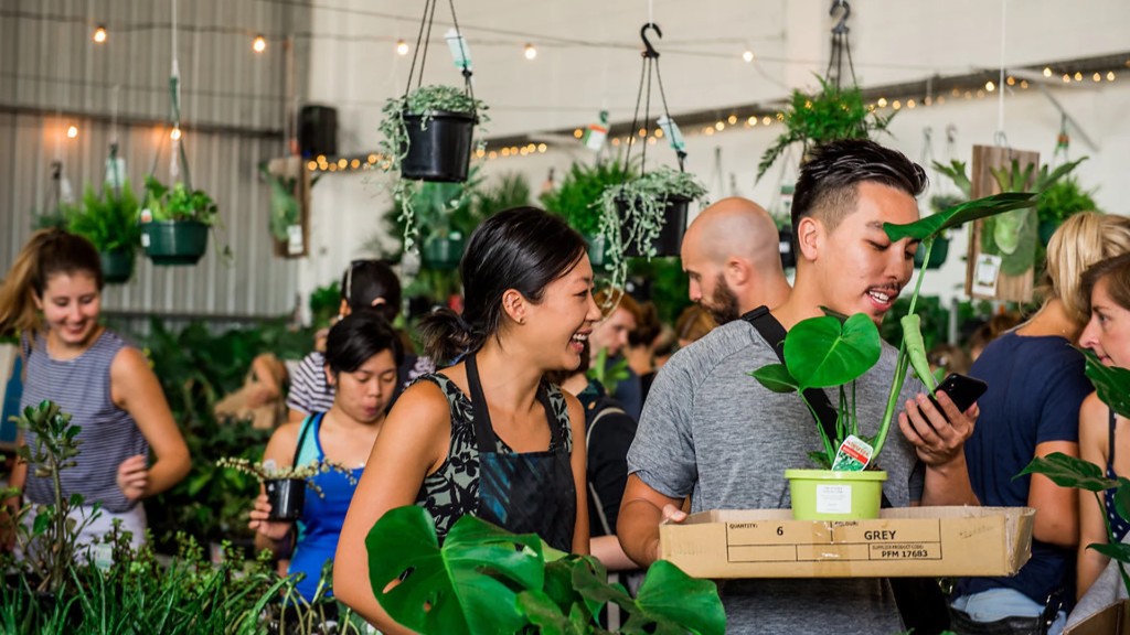 Jungle Collective plant market with shoppers